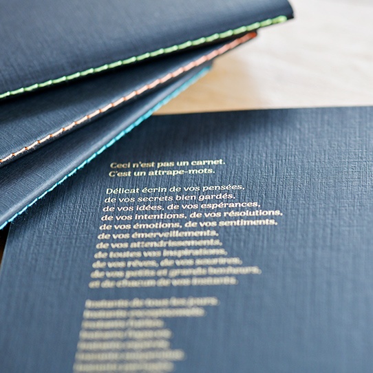 carnets_noirs_dos_v_comme_samedi